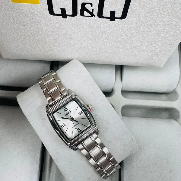 Reloj Q&Q De Dama Q17c-500py