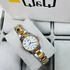 Reloj Q&Q De Dama C75a-004py|